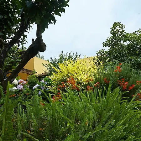 Rural La Tanquera فندق